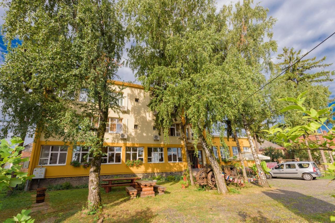 Pensiunea Tranzit Satu Mare Exterior foto